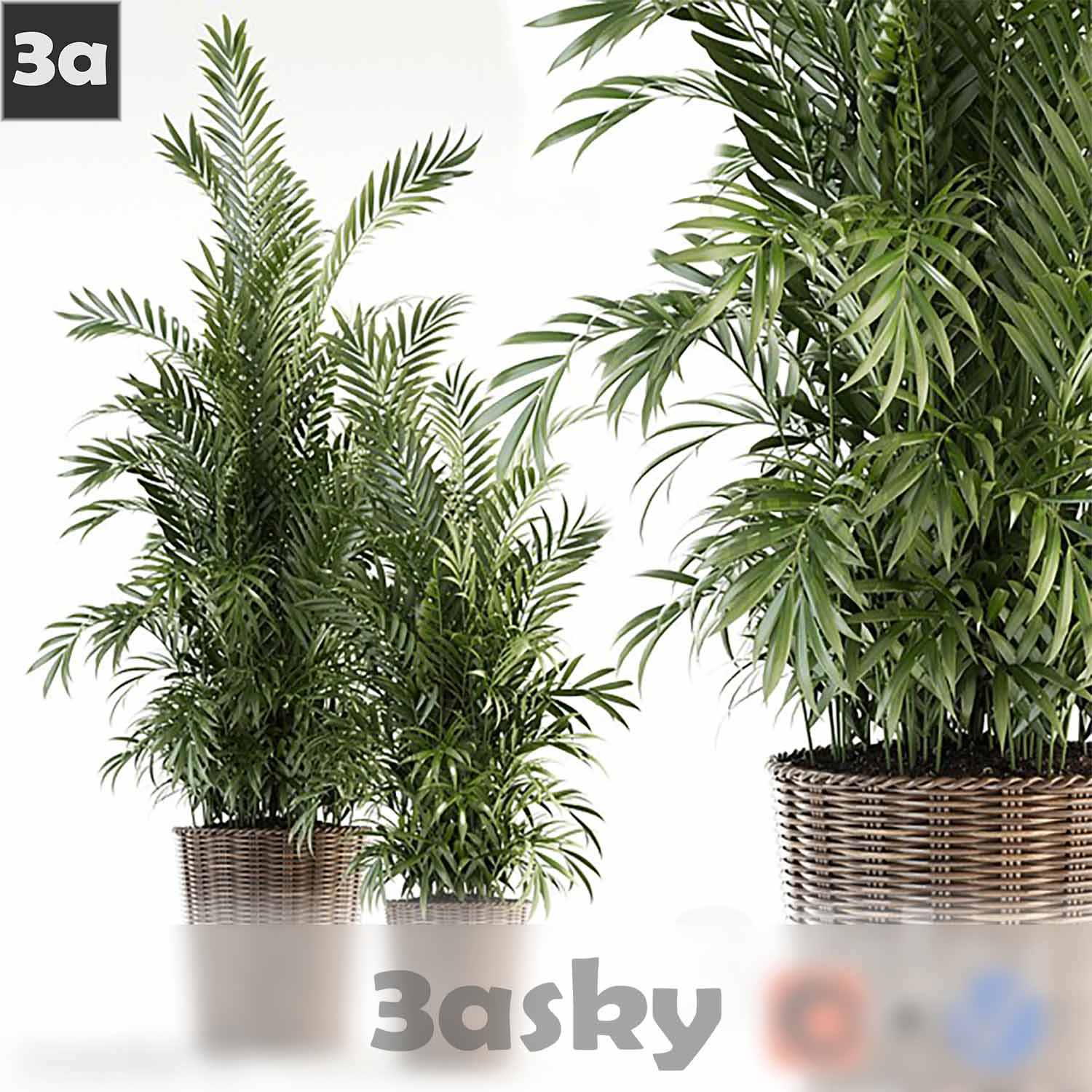 3D Model of Tree Plant - High Quality 3DS MAX File